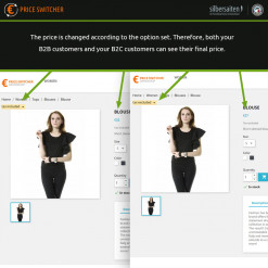 Price Switcher b2b-b2c Prestashop Module