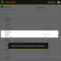 Digitalique - das beste Modul für downloadbare Produkte