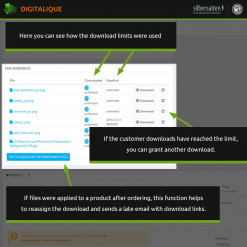 Digitalique, le meilleur module pour les produits téléchargeables