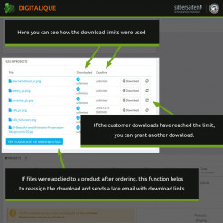 Digitalique - The Best Module for Downloadable Products Prestashop Module